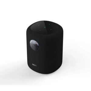 WiiM Sound Wireless Speaker (Black)