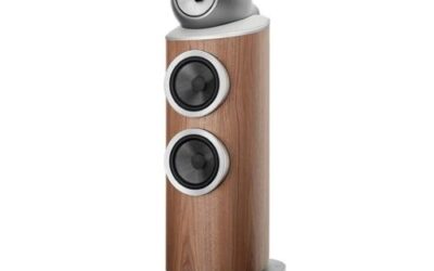 Bowers & Wilkins 801 D4 Signature Floorstanding Speakers: The Ultimate Reference Speaker for Serious Music Lovers
