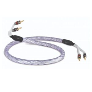 QED Signature Genesis Silver Spiral Bi