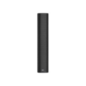 Power And Surge Protectors 89 DSPPA-DSP 255II Outdoor Waterproof Column Speaker (Black)